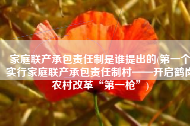 家庭联产承包责任制是谁提出的(第一个实行家庭联产承包责任制村——开启鹤岗农村改革“第一枪”)