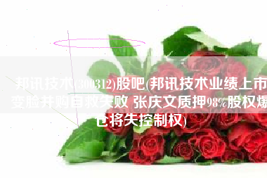 邦讯技术(300312)股吧(邦讯技术业绩上市变脸并购自救失败 张庆文质押98%股权爆仓将失控制权)