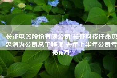 长征电器股份有限公司(长征科技任命唐忠润为公司总工程师 去年上半年公司亏损16万)