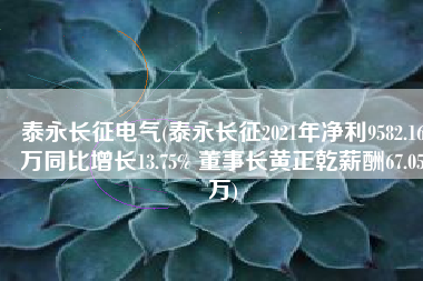 泰永长征电气(泰永长征2021年净利9582.16万同比增长13.75% 董事长黄正乾薪酬67.05万)