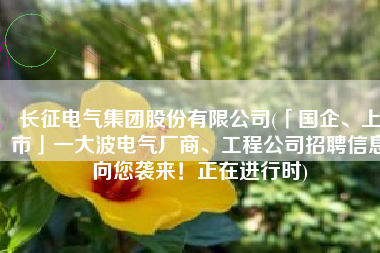 长征电气集团股份有限公司(「国企、上市」一大波电气厂商、工程公司招聘信息向您袭来！正在进行时)