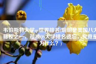 韦伯斯特大学qs世界排名(明明是美国八大藤校之一，却被QS大学排名遗忘，究竟是为什么？)