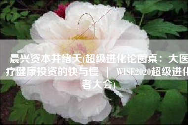 晨兴资本井绪天(超级进化论圆桌：大医疗健康投资的快与慢  |  WISE2020超级进化者大会)