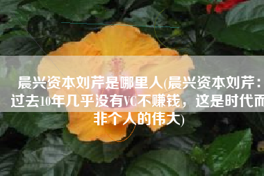 晨兴资本刘芹是哪里人(晨兴资本刘芹：过去10年几乎没有VC不赚钱，这是时代而非个人的伟大)