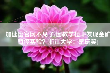 加速度官网不见了(因教学楼下发现金矿暂停实验？浙江大学：是玩笑)