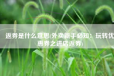 返券是什么意思(外卖新手必知：玩转优惠券之进店返券)