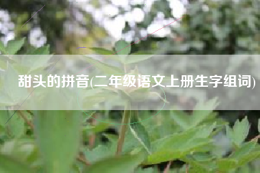 甜头的拼音(二年级语文上册生字组词)