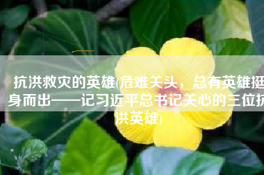 抗洪救灾的英雄(危难关头，总有英雄挺身而出——记习近平总书记关心的三位抗洪英雄)