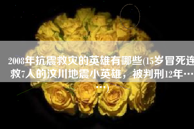 2008年抗震救灾的英雄有哪些(15岁冒死连救7人的汶川地震小英雄，被判刑12年……)