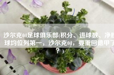 沙尔克04足球俱乐部(积分、进球数、净胜球均位列第一，沙尔克04，要重回德甲了？)