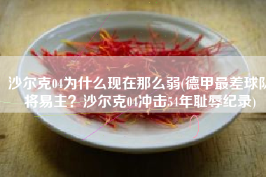 沙尔克04为什么现在那么弱(德甲最差球队将易主？沙尔克04冲击54年耻辱纪录)