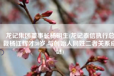 龙记集团董事长杨明生(龙记泰信执行总裁杨江辉才30岁 与创始人同姓二者关系成谜)