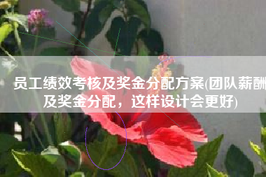 员工绩效考核及奖金分配方案(团队薪酬及奖金分配，这样设计会更好)