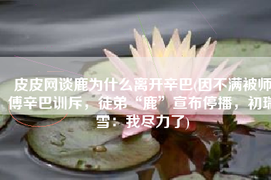 皮皮网谈鹿为什么离开辛巴(因不满被师傅辛巴训斥，徒弟“鹿”宣布停播，初瑞雪：我尽力了)