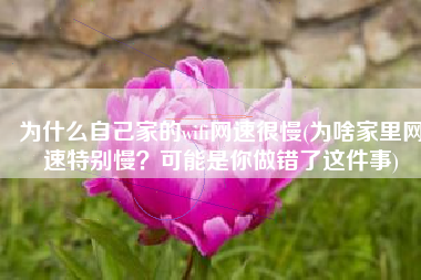为什么自己家的wifi网速很慢(为啥家里网速特别慢？可能是你做错了这件事)