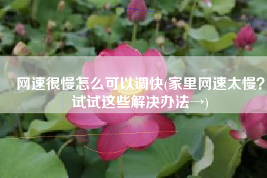 网速很慢怎么可以调快(家里网速太慢？试试这些解决办法→)