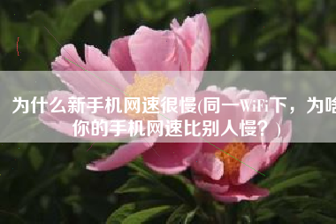 为什么新手机网速很慢(同一WiFi下，为啥你的手机网速比别人慢？)