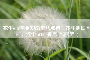 花生wifi连接失败(早八点档 | 花生测试 WIFI ，这个 WIFI 有点“老卵”)