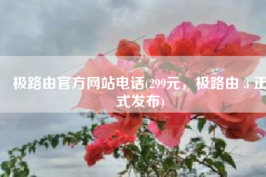 极路由官方网站电话(299元，极路由 3 正式发布)