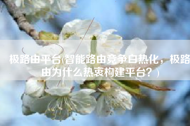极路由平台(智能路由竞争白热化，极路由为什么热衷构建平台？)