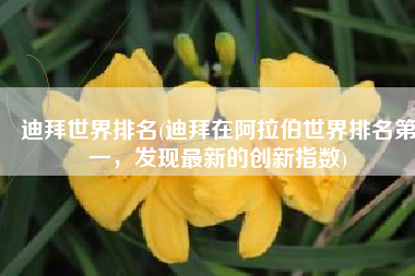 迪拜世界排名(迪拜在阿拉伯世界排名第一，发现最新的创新指数)
