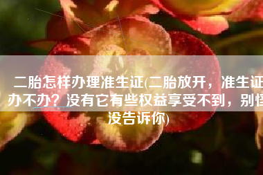 二胎怎样办理准生证(二胎放开，准生证办不办？没有它有些权益享受不到，别怪没告诉你)