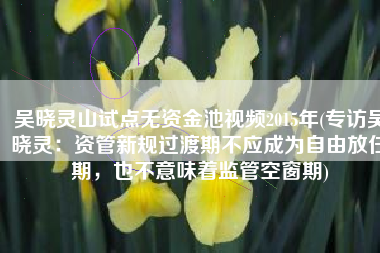 吴晓灵山试点无资金池视频2015年(专访吴晓灵：资管新规过渡期不应成为自由放任期，也不意味着监管空窗期)