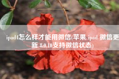 ipad4怎么样才能用微信(苹果 ipad 微信更新 8.0.10支持微信状态)