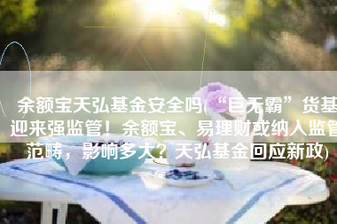 余额宝天弘基金安全吗(“巨无霸”货基迎来强监管！余额宝、易理财或纳入监管范畴，影响多大？天弘基金回应新政)