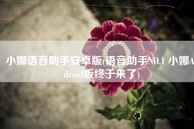 小娜语音助手安卓版(语音助手NO.1 小娜Android版终于来了)