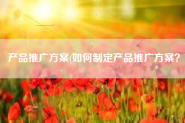 产品推广方案(如何制定产品推广方案？)