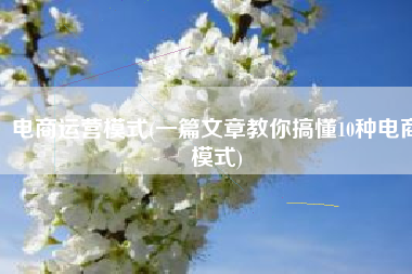 电商运营模式(一篇文章教你搞懂10种电商模式)