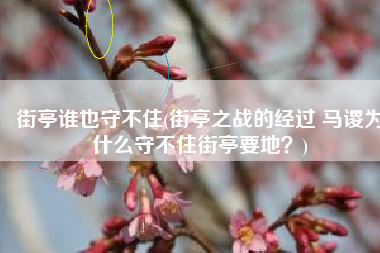 街亭谁也守不住(街亭之战的经过 马谡为什么守不住街亭要地？)