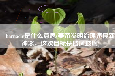 barnacle是什么意思(美帝发明治理违停新神器，这次目标是挡风玻璃)