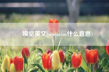 嗅觉英文(sensation什么意思)