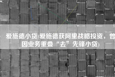 爱施德小贷(爱施德获阿里战略投资，曾因业务重叠“去”先锋小贷)