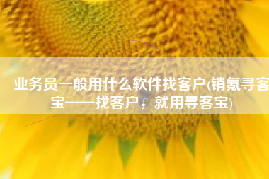 业务员一般用什么软件找客户(销氪寻客宝——找客户，就用寻客宝)