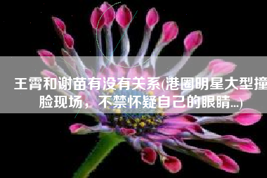 王霄和谢苗有没有关系(港圈明星大型撞脸现场，不禁怀疑自己的眼睛...)