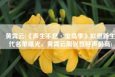 黄霄云(《声生不息·宝岛季》拟邀新生代名单曝光，黄霄云周兴哲呼声最高)