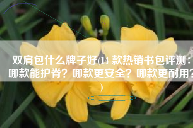 双肩包什么牌子好(14 款热销书包评测：哪款能护脊？哪款更安全？哪款更耐用？)