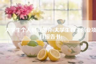 大学生个人创业简介(大学生自主创业项目报告书)