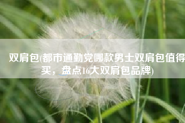 双肩包(都市通勤党哪款男士双肩包值得买，盘点16大双肩包品牌)