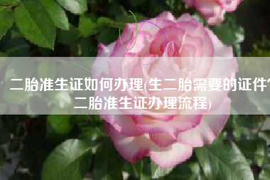 二胎准生证如何办理(生二胎需要的证件？二胎准生证办理流程)