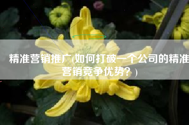 精准营销推广(如何打破一个公司的精准营销竞争优势？)