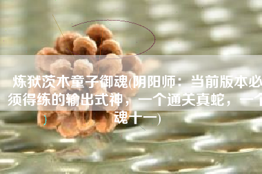 炼狱茨木童子御魂(阴阳师：当前版本必须得练的输出式神，一个通关真蛇，一个魂十一)