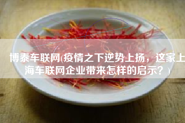 博泰车联网(疫情之下逆势上扬，这家上海车联网企业带来怎样的启示？)