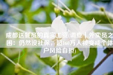 成都送餐员的真实工资(调查｜外卖员之困：仍然没社保，超160万人被变成个体户风险自担)