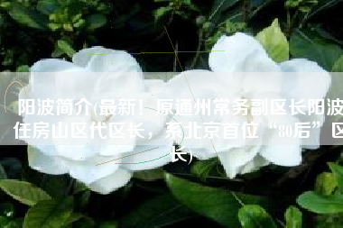 阳波简介(最新！原通州常务副区长阳波任房山区代区长，系北京首位“80后”区长)