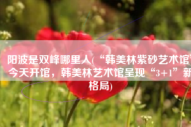 阳波是双峰哪里人(“韩美林紫砂艺术馆”今天开馆，韩美林艺术馆呈现“3+1”新格局)