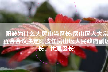 阳波为什么去房山当区长(房山区人大常委会会议决定阳波任房山区人民政府副区长、代理区长)